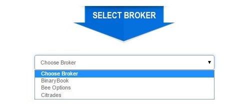 Rock the stock binary options