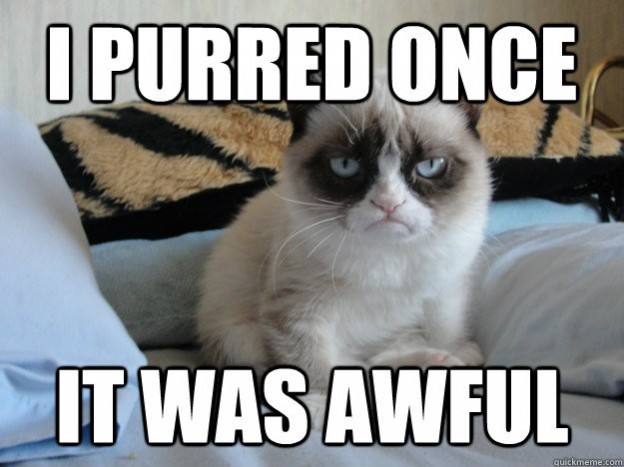 grumpy cat