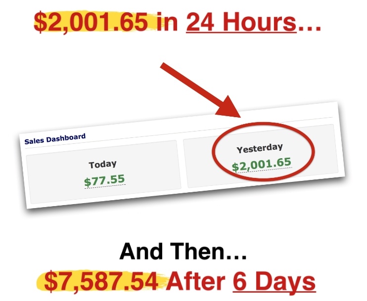 Traffic Lockdown 2 sales pitch earnings