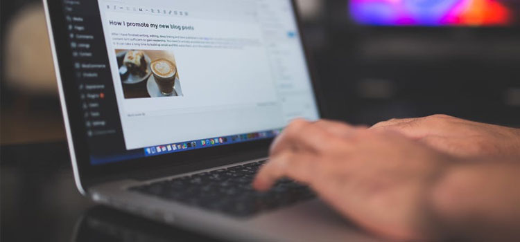 Amazon Affiliate for WordPress Review