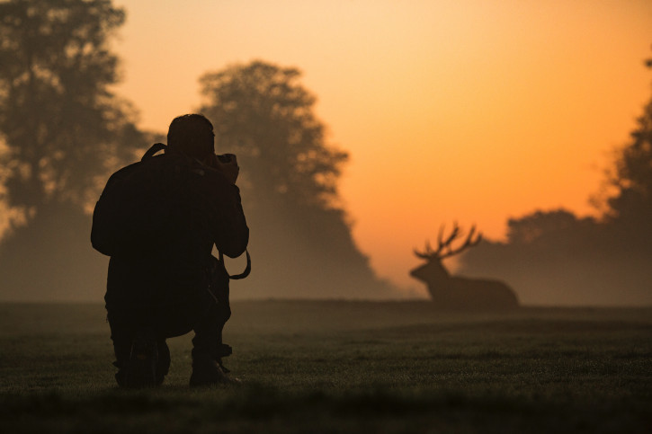 Nature Jobs: Nature Photographer