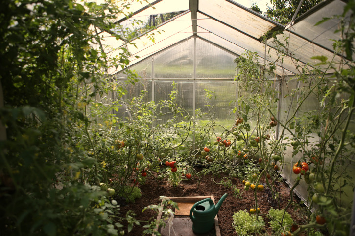 Nature Jobs: Urban Farm